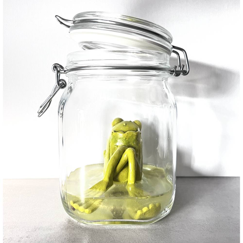Der Spreewaldfrosch, Pickles, saure Gurken, Frosch Skulptur, Frosch im Glas, Froschkönig, Froschplastik, modellierter Fr Bild 3