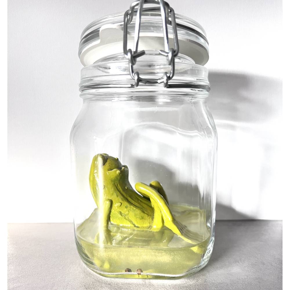 Der Spreewaldfrosch, Pickles, saure Gurken, Frosch Skulptur, Frosch im Glas, Froschkönig, Froschplastik, modellierter Fr Bild 4
