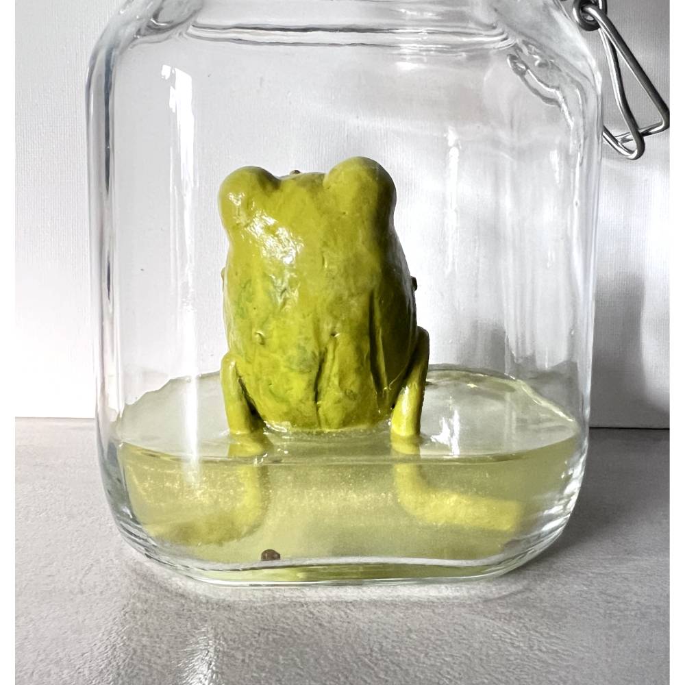 Der Spreewaldfrosch, Pickles, saure Gurken, Frosch Skulptur, Frosch im Glas, Froschkönig, Froschplastik, modellierter Fr Bild 5