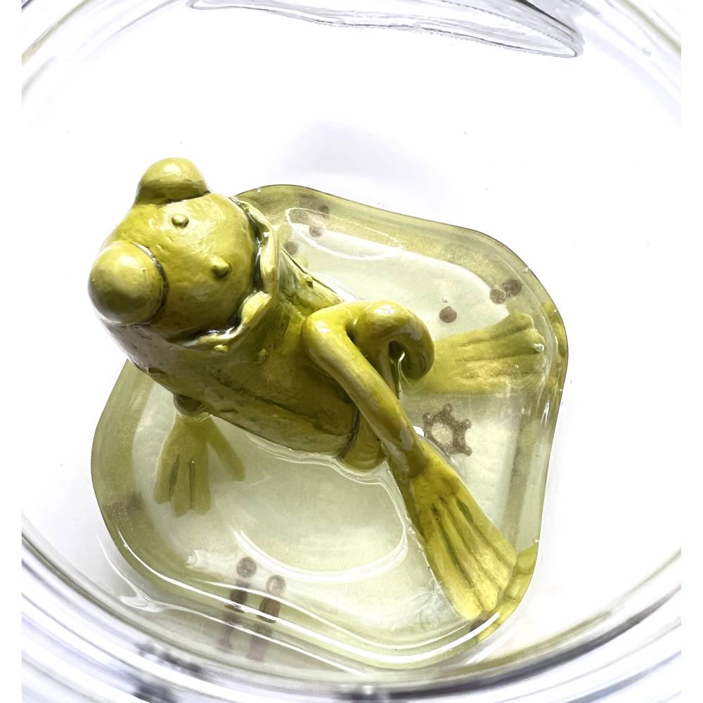 Der Spreewaldfrosch, Pickles, saure Gurken, Frosch Skulptur, Frosch im Glas, Froschkönig, Froschplastik, modellierter Fr Bild 6