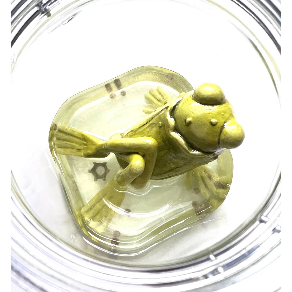 Der Spreewaldfrosch, Pickles, saure Gurken, Frosch Skulptur, Frosch im Glas, Froschkönig, Froschplastik, modellierter Fr Bild 9