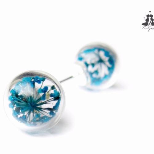 MINI Ohrstecker- Echte blaue Blüte der Dillblüte in Gießharz gegossen