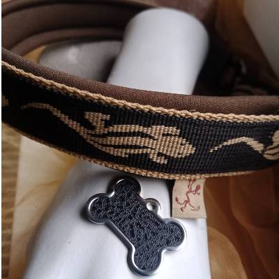 Hundehalsband Gecko - Eidechsen - Salamander
