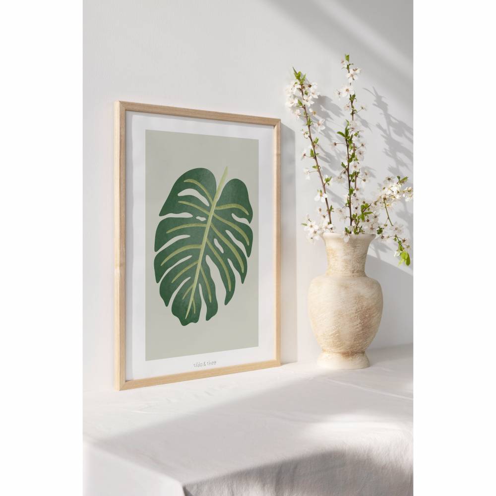 bipinnatifidum philodendron Philodendron Selloum Plant Care - How to Grow Philodendron main image 0