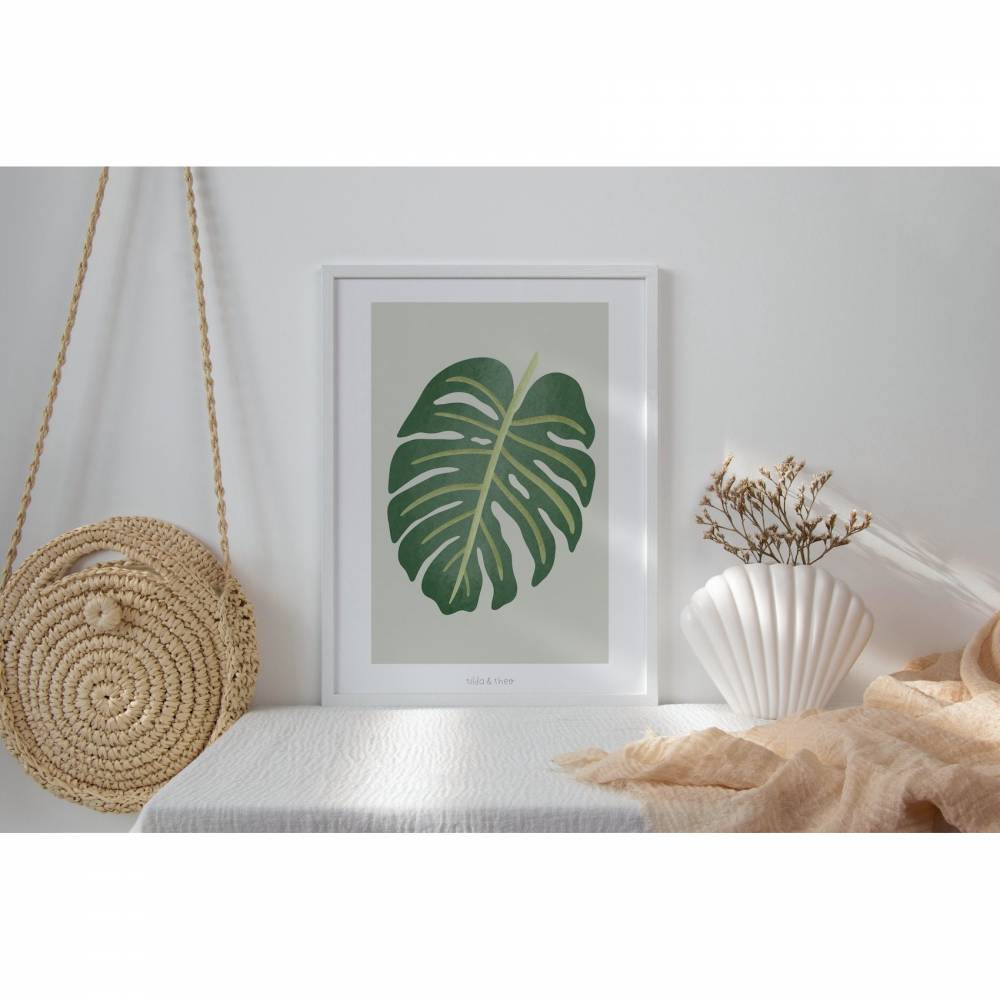 philodendron mit haaren Philodendron Florida Beauty (Green) x polypodioides main image 1