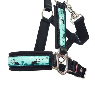 Halfter Mini Shetty Charlie schwarz mint Pferdehalfter Größe Mini Shetty mint mit Webband