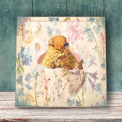 KLEINES KÜKEN Tiere niedlich Wandbild auf Holz Leinwand Kunstdruck Deko Landhausstil ShabbyChic VintageArt Frühlingsdeko