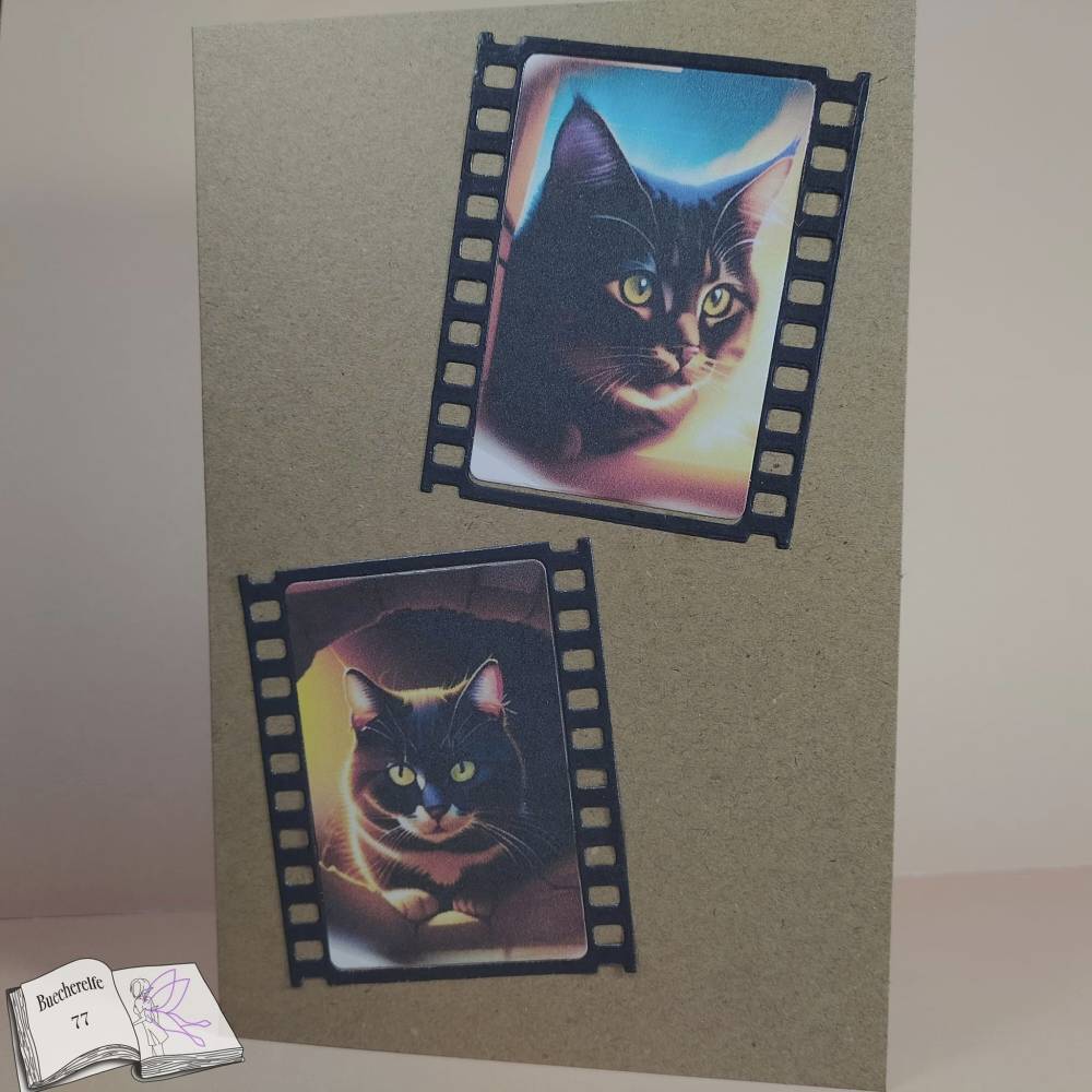Digipapier crazy cats Bild 5