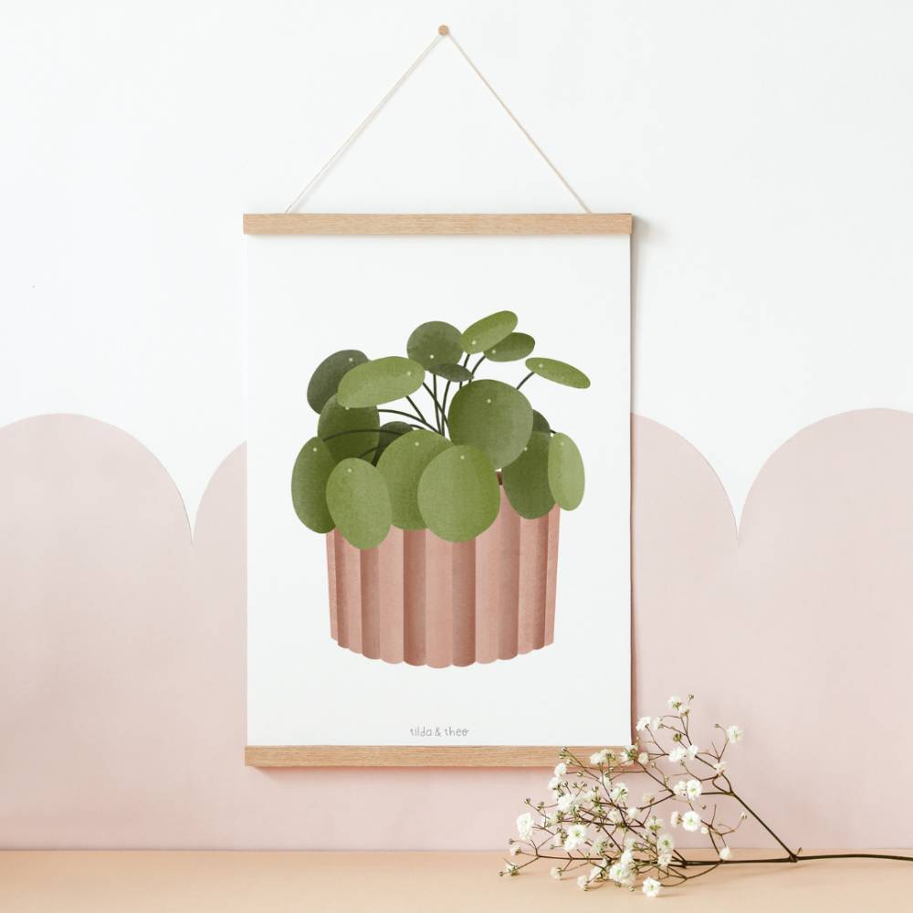 Poster Pilea Zimmerpflanze Boho Pflanze Botanischer Print Zweig - Wanddeko  Topfpflanze Plant - Illustration Bltter