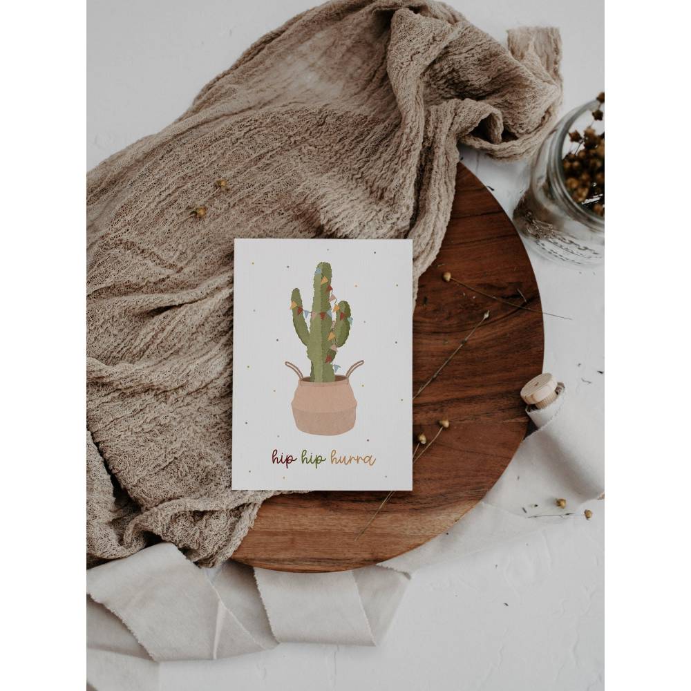 bilder von kaktus Cactus Opuntia | 120cm | Online kaufen main image 1