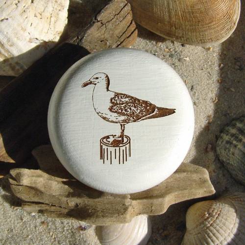 Möbelknauf Möwe maritim Gravur Möbelknopf Buche natur oder weiß inkl. Schraube Möbeldesign