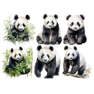 Bügelbilder Bügelmotiv Panda Bär Pandabär Junge Mädchen Höhe 20cm