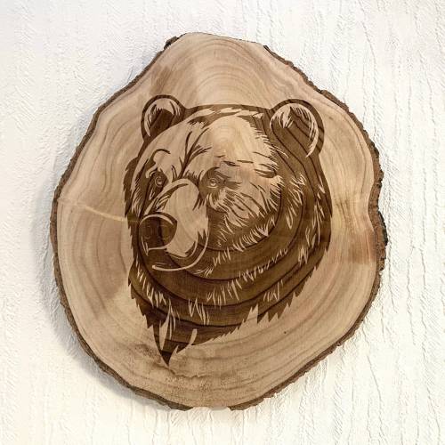 Wandbild Bär aus Baumscheibe