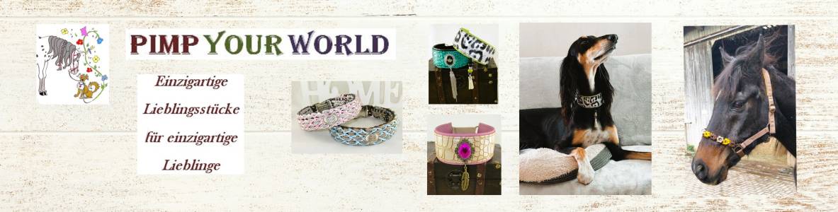 Pimp your World Shop | kasuwa.de