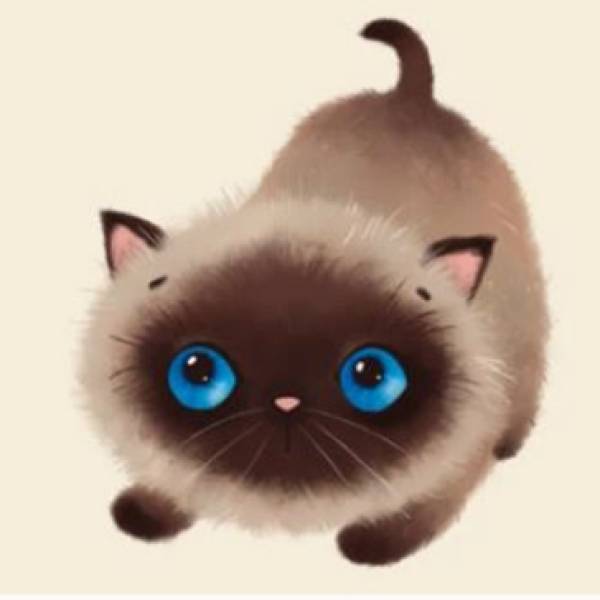 Katzenliebe by Anja