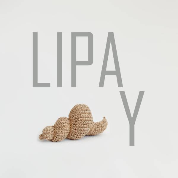 LIPA WITH Y