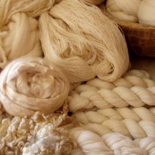 AllThePrettyFibers