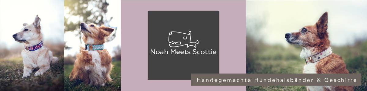 Noah.Meets.Scottie Shop | kasuwa.de