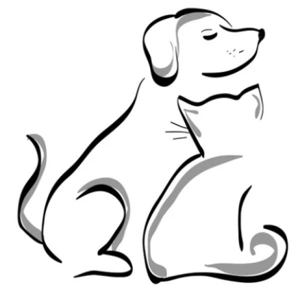 naykko design