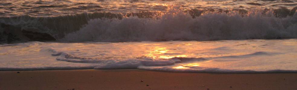 Schlüter Home Design Shop | kasuwa.de